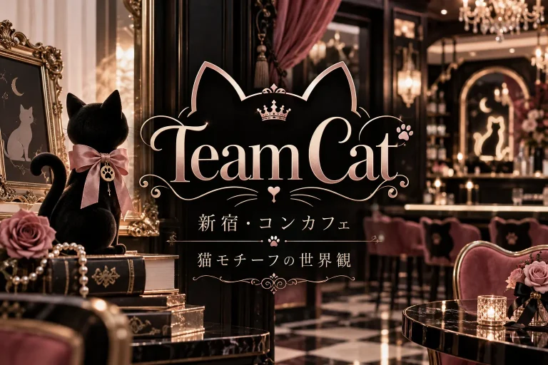 cafe&Girls Bar Team Cat （チームキャット）の店舗写真